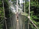 Canopy walk in Kakum National Park