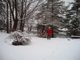 red_nuha_in_snow