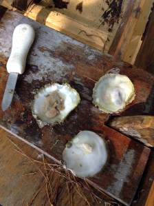 first_oyster_meal